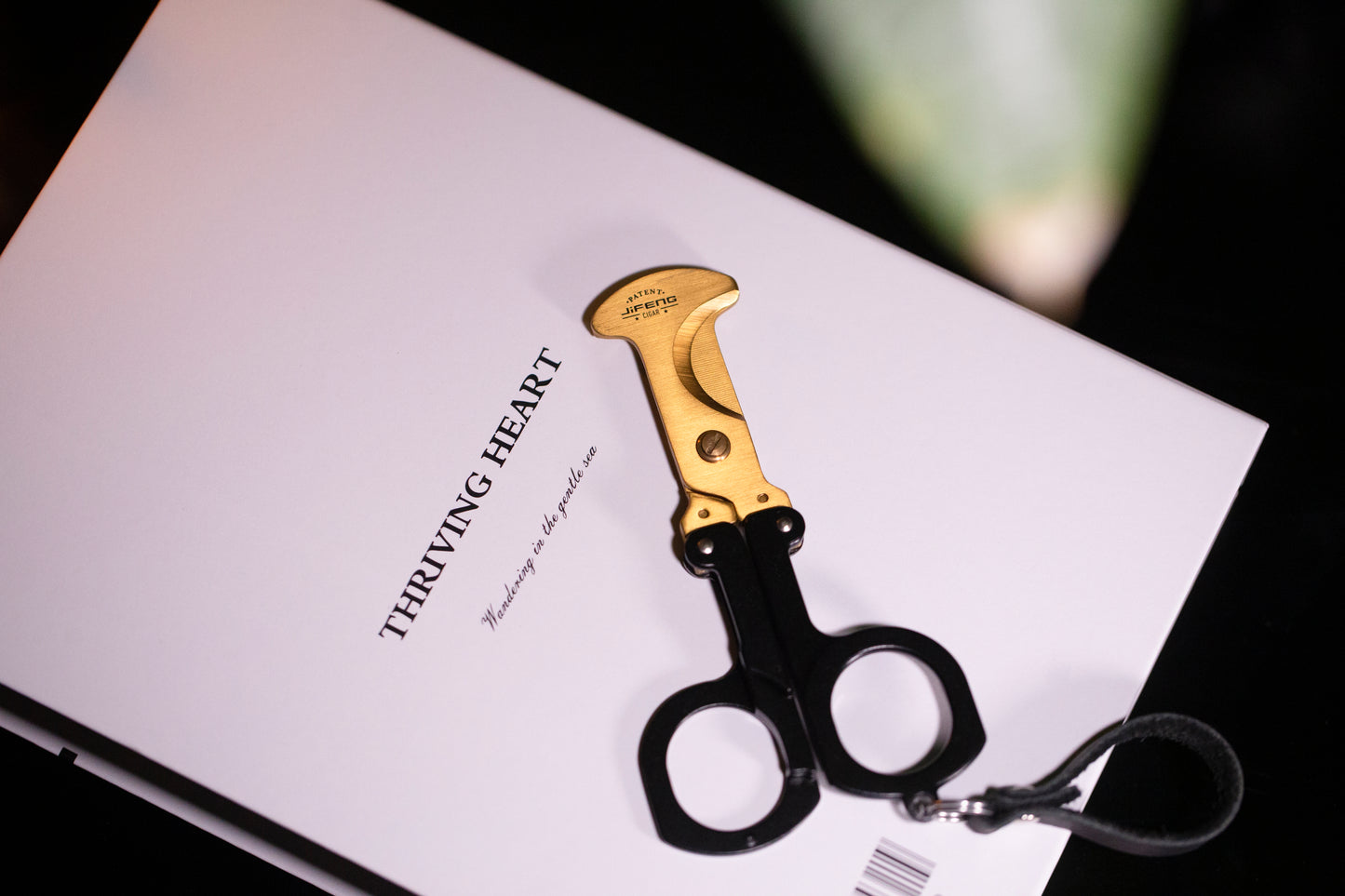 Fold Scissors Cut